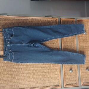 Vintage L.L. Bean Women's Classic Fit Jeans EUC